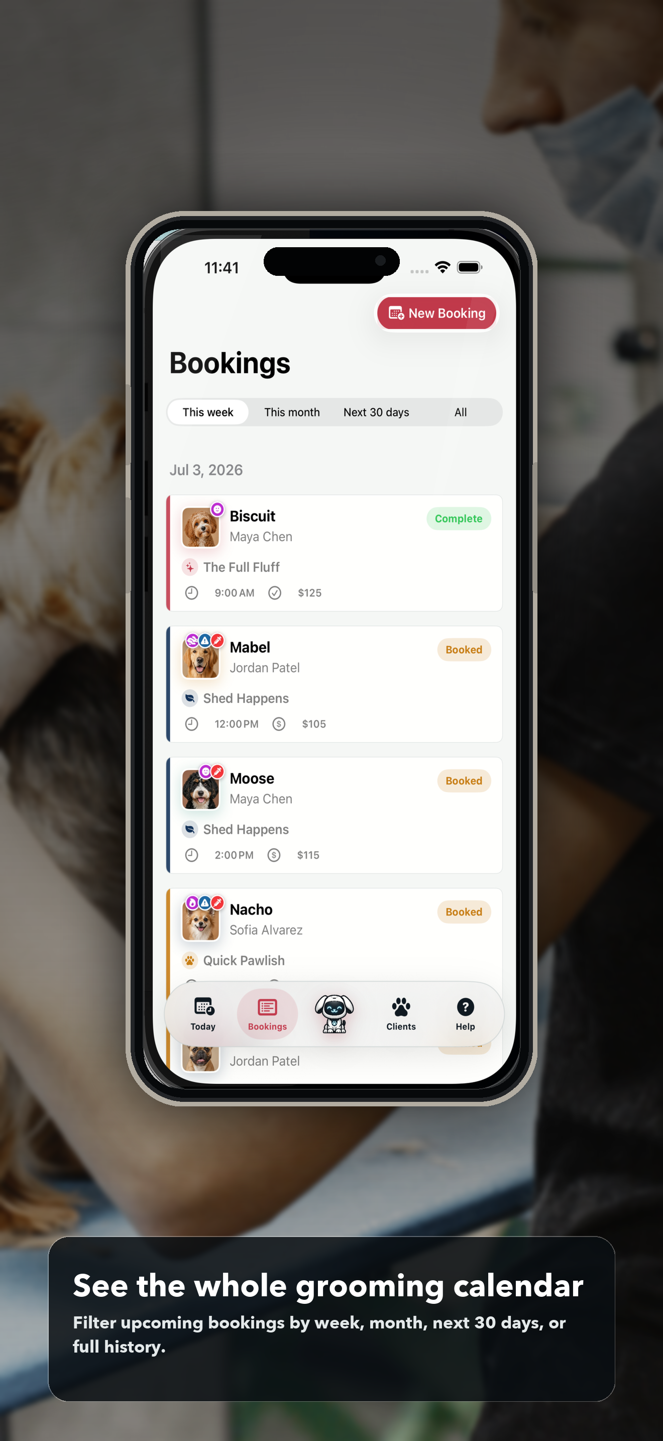 Doggie Style iPhone preview of the bookings list for groomers