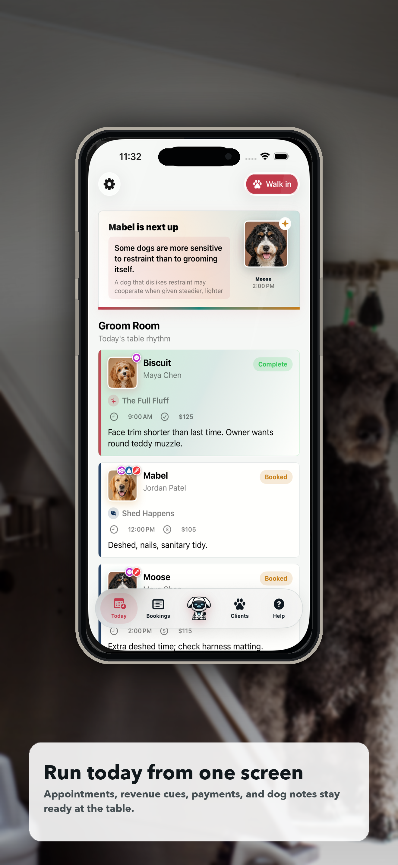Doggie Style today dashboard showing the next grooming appointment